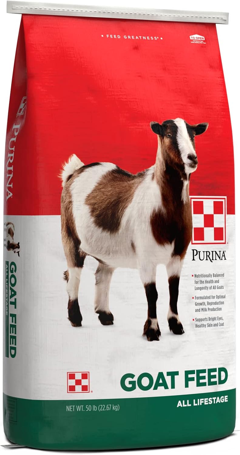 Pakan Kambing Premium