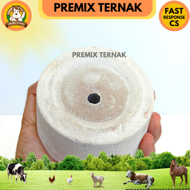 Mineral Blok Ternak